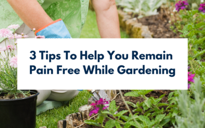 3 Tips To Help Keep You Pain Free While Gardening