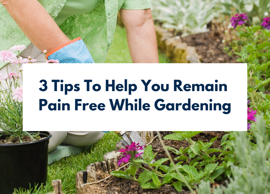 3 Tips To Help Keep You Pain Free While Gardening